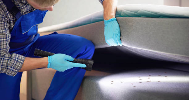 Best Exterminator Services  in Central City, KY