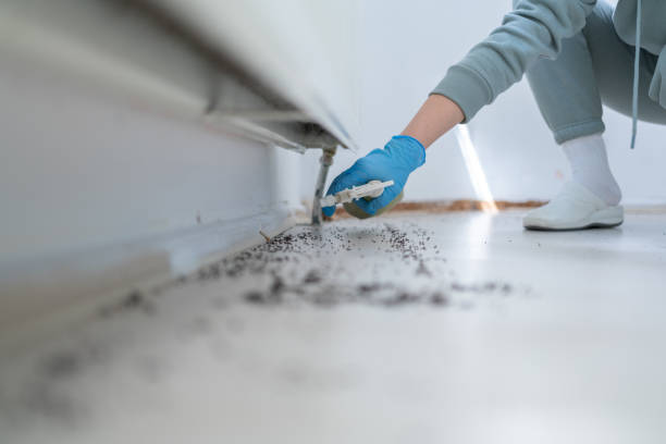 Best Insect Control  in Central City, KY